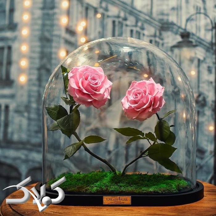 خرید گل رز جاودان در کرج در دیزاین های مختلف