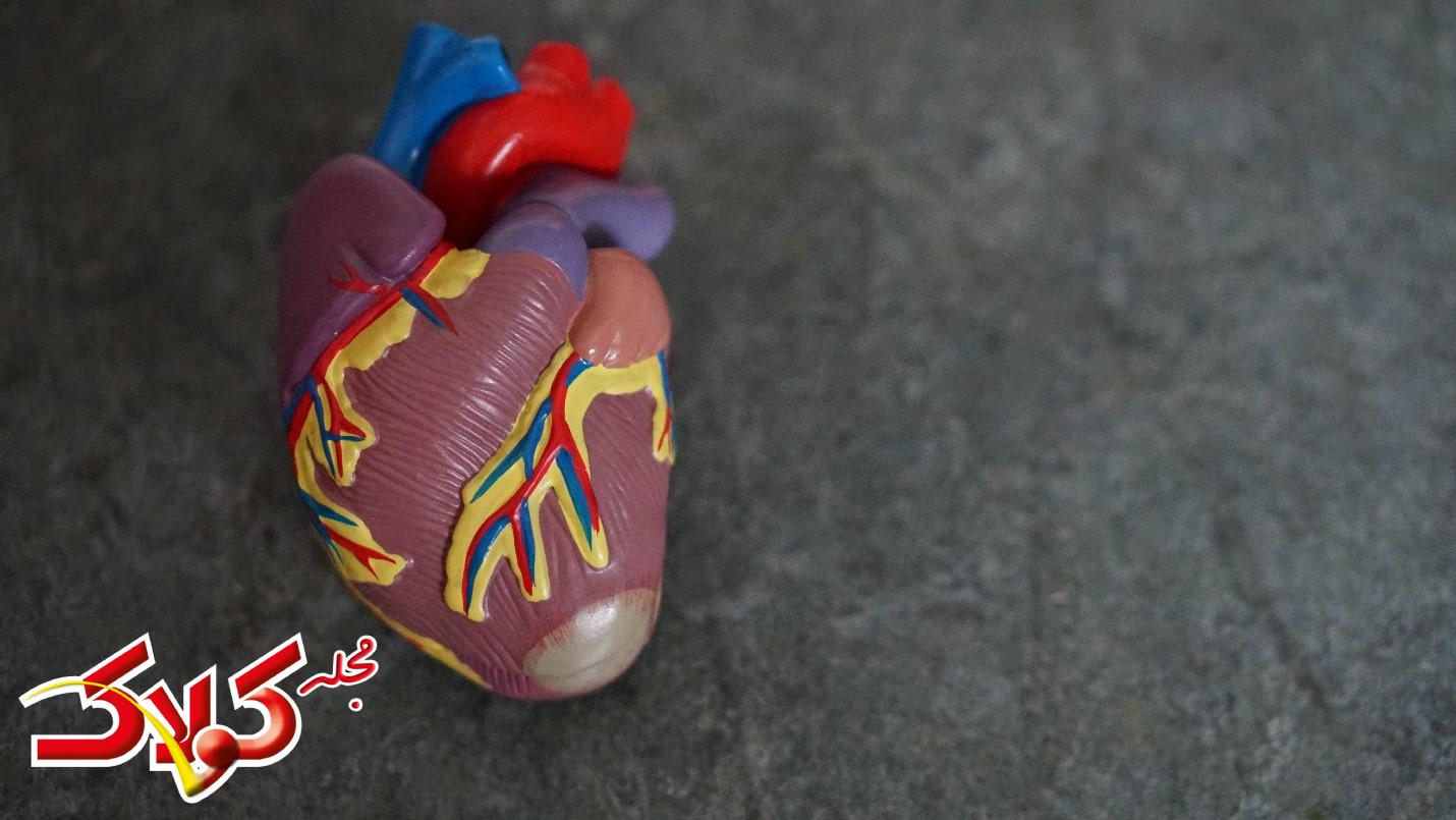 بیماری عفونت قلب یا اندوکاردیت قلبی چیست